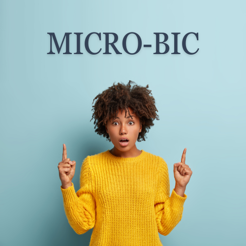 Régime micro BIC LMNP, optimisation fiscale pour locations meublées